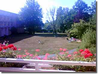 Blick aus dem Zimmer