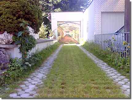 Grüner lebender Teppich
