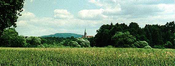 Im Grünen